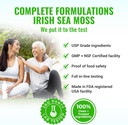 sea-moss-supplement-blend-with-black-see-4.jpg