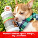 pawmedica-dog-probiotics-and-digestive-e-3.jpg