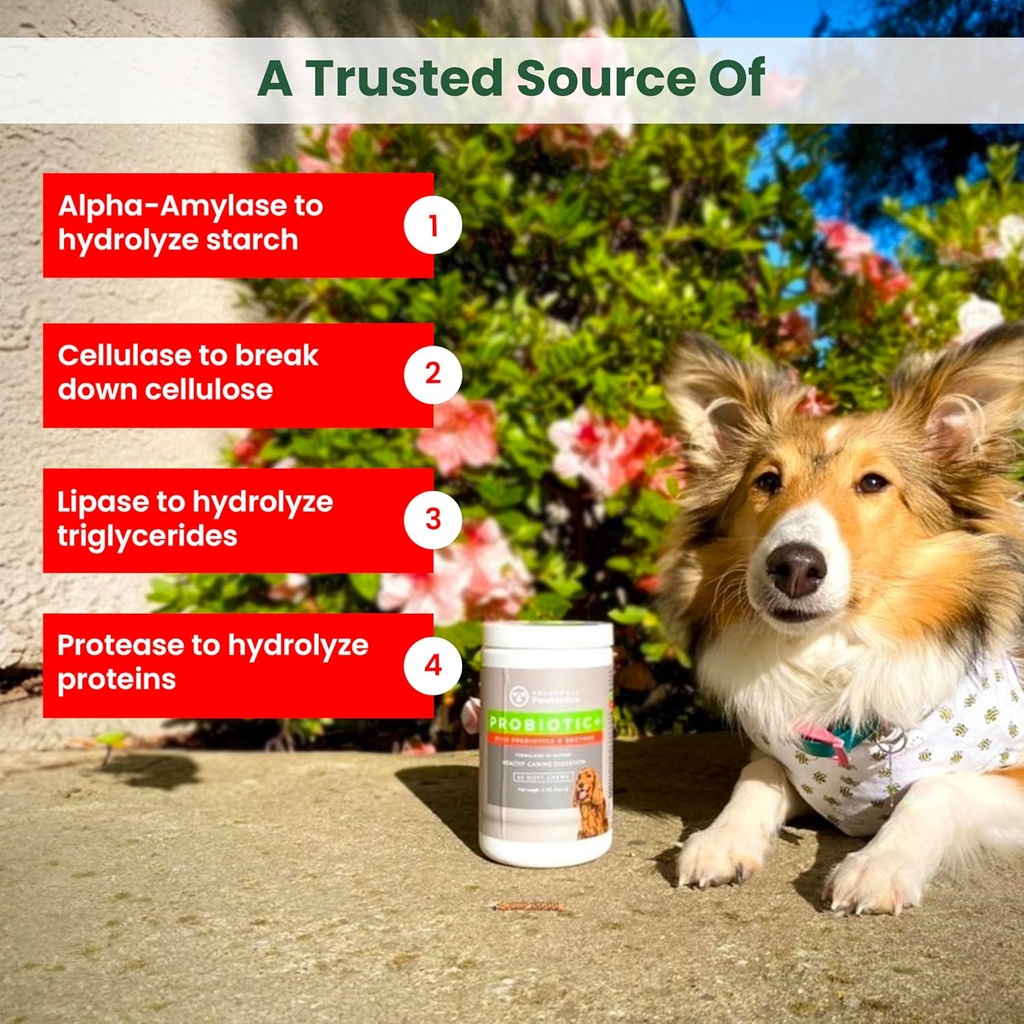 pawmedica-dog-probiotics-and-digestive-e-4.jpg