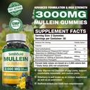 1-pack-sugar-free-3000mg-mullein-gummies-2.jpg