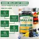1-pack-sugar-free-3000mg-mullein-gummies-3.jpg