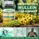 1-pack-sugar-free-3000mg-mullein-gummies-5.jpg