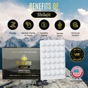 black-lotus-shilajit-resin-tablets-60-co-2.jpg