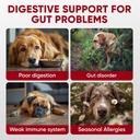probiotics-for-dogs-digestive-health---p-2.jpg