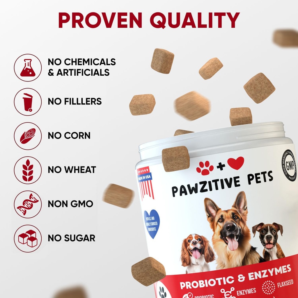 probiotics-for-dogs-digestive-health---p-4.jpg
