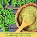 basic-ayurveda-moringa-leaf-powder---705-2.jpg