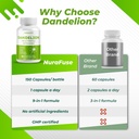 dandelion-milk-thistle-artichoke-burdock-6.jpg