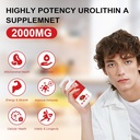 liposomal-urolithin-a-supplement-2000mg--4.jpg