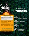 herb-pharm-propolis-liquid-extract-for-i-2.jpg