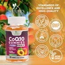 coq10-gummies-100mg---3x-strength-high-a-4.jpg