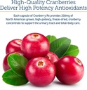 rx-vitamins-cranberry-capsules---cranber-4.jpg