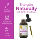 zahler-iron-drops-liquid-concentrate-gen-5.jpg