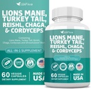 lions-mane-3000mg-turkey-tail-3000mg-rei-5.jpg