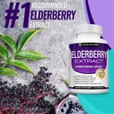 organic-elderberry-capsules-with-sambucu-4.jpg