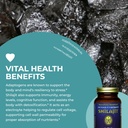 healthforce-superfoods-shilajit---120-ve-5.jpg