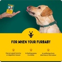 furlicks-gut-health-supplement-for-dogs--4.jpg