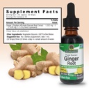 natures-answer-ginger-root-alcohol-free--3.jpg