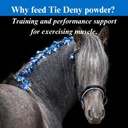 su-per-tie-deny-energy-horse-supplement--4.jpg