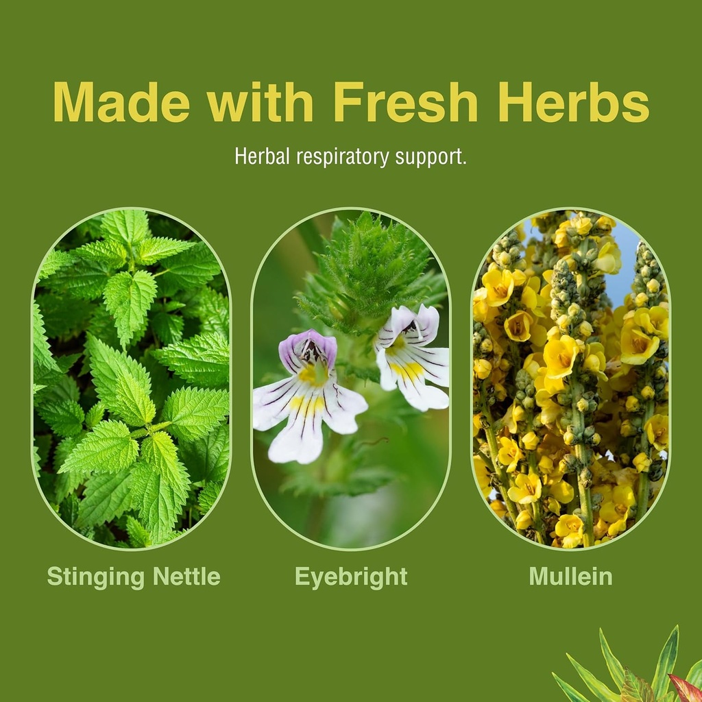 herbs-etc-allertonic---healthy-breathing-6.jpg