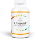 laminine-cellular-support-for-wellness-c-2.jpg