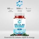 stem-cell-supplements-500mg-120-cap-natu-5.jpg