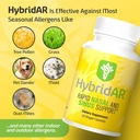 hybridar-rapid-sinus-relief-and-calm-fas-2.jpg