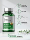 horbaach-brown-seaweed-extract-capsules--4.jpg