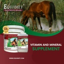 cvm---horse-vitamins---vitamin-e-supplem-3.jpg