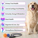 dog-multivitamin-liquid---15-in-1-dog-vi-5.jpg