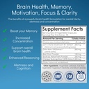 brain-health-nootropic-supplement-lions--4.jpg