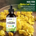 mullein-drops-for-lungs---lung-detox-for-6.jpg
