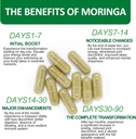 moringa-capsules-800mg-pure-moringa-powd-3.jpg
