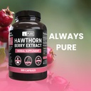 pure-original-ingredients-hawthorn-berry-5.jpg