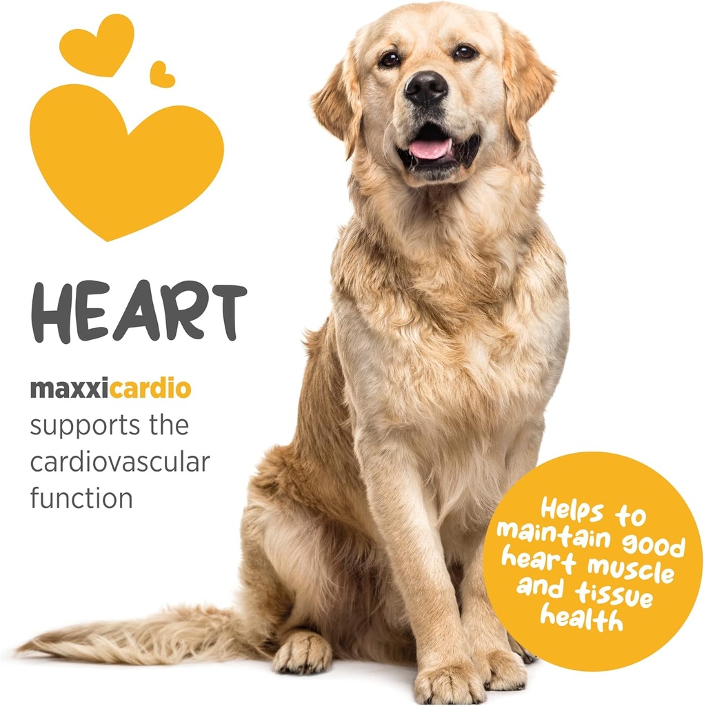 maxxipaws-maxxicardio-heart-cardiovascul-3.jpg