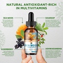 sea-moss-liquid-drops-supplement-irish-s-3.jpg