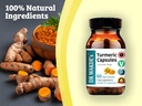 dr-wakdes-turmeric-capsules-curcuma-long-4.jpg