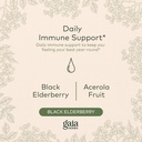 gaia-herbs-black-elderberry-syrup-54-oun-3.jpg