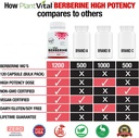 plantvital-berberine-1200mg-2-caps-non-g-2.jpg