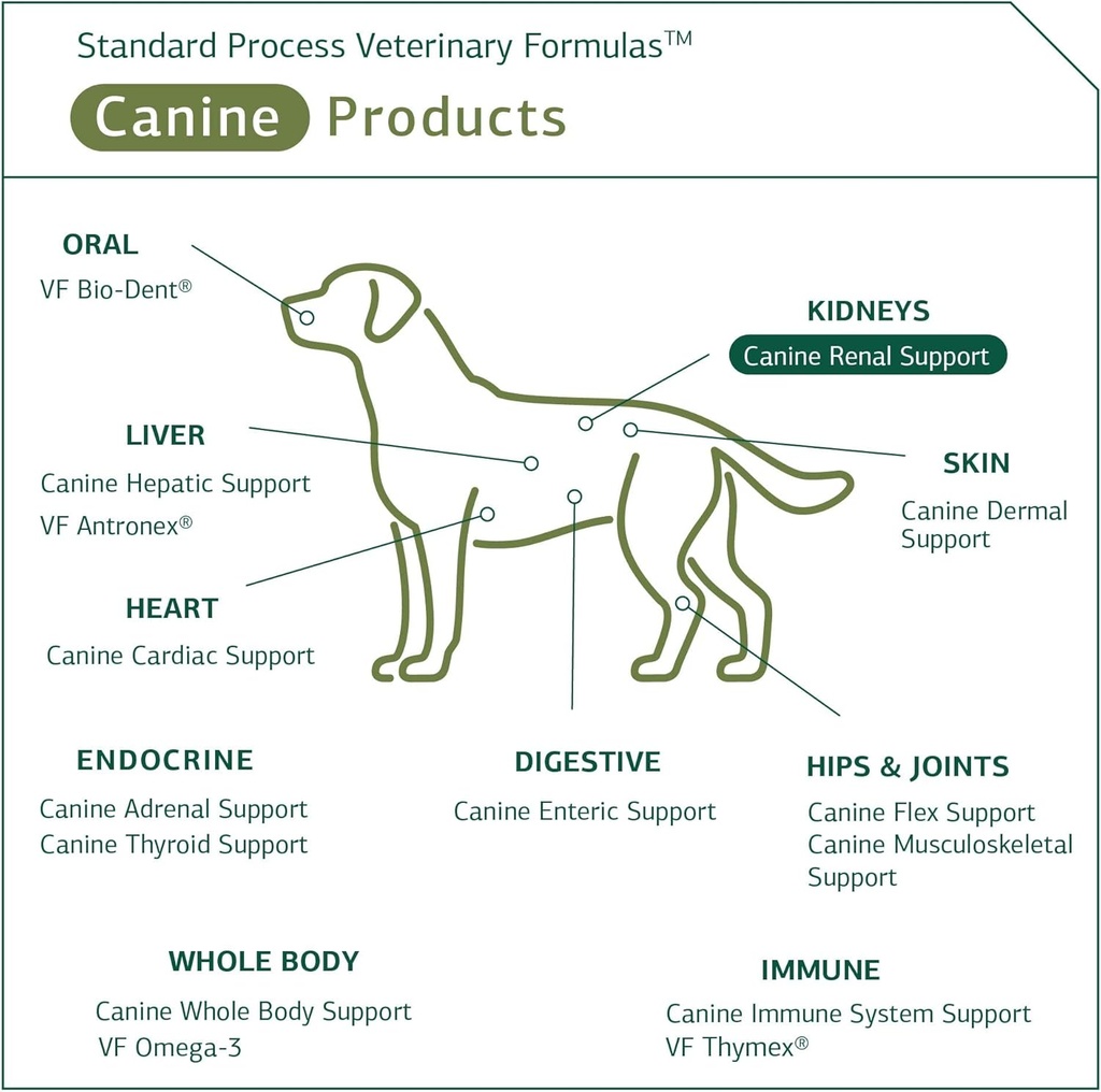 standard-process-canine-renal-support----5.jpg