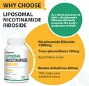 orgabay-liposomal-nicotinamide-riboside--5.jpg