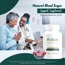 natural-blood-sugar-support-supplement---5.jpg