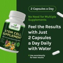 green-valley-naturals-stem-cell-suppleme-4.jpg