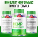 2-pack-hemp-leaf-gummies---official-form-2.jpg