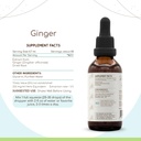 herbera-ginger-b60-alcohol-free-herbal-e-3.jpg