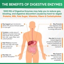 wholesome-wellness-digestive-enzymes-100-5.jpg