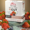 terra-origin-healthy-gut-stick-packs-l-g-3.jpg