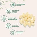 micro-ingredients-vitamin-b1-benfotiamin-4.jpg
