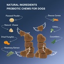 probiotics-for-dogsdog-probiotics-and-di-2.jpg