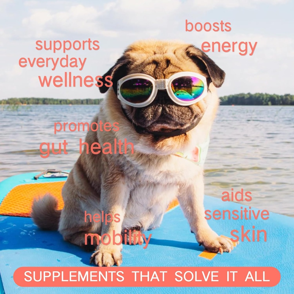 21-in-1-dog-vitamins-and-supplements-wit-4.jpg