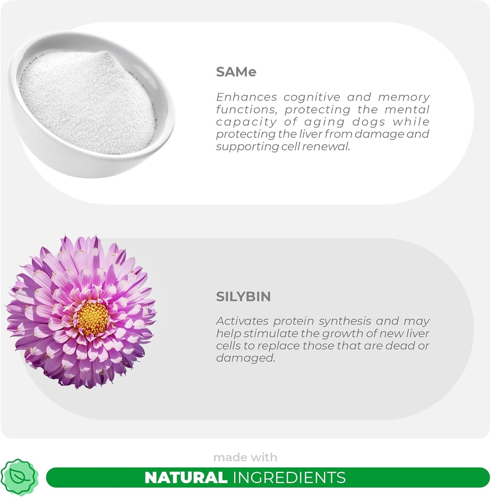 same-and-silybin-for-cats---s-adenosyl-l-3.jpg